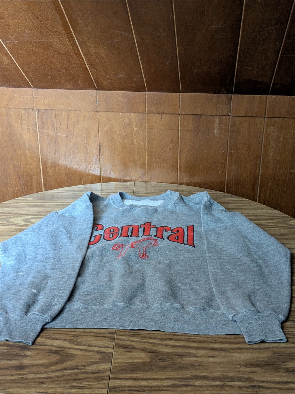 VTG 90s‎ Central Horse Graphic Crewneck - Distressed/Artisan Style 🐎